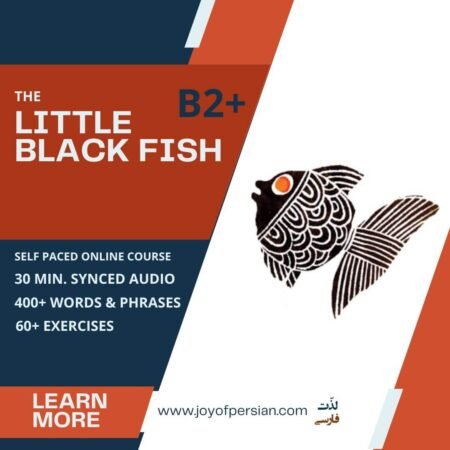 The Little Black Fish