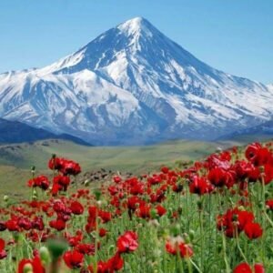 Beyond the Core
Thematic Persian LanguageExpand your Farsi skills through engaging cultural and thematic courses like Damavand, Saadi, Deserts of Iran and Mosques of Iran.