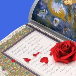 Persian Literature Courses
Delve into the rich world of classical and modern Persian texts with expert guidance. Perfect for academics and literature enthusiasts.