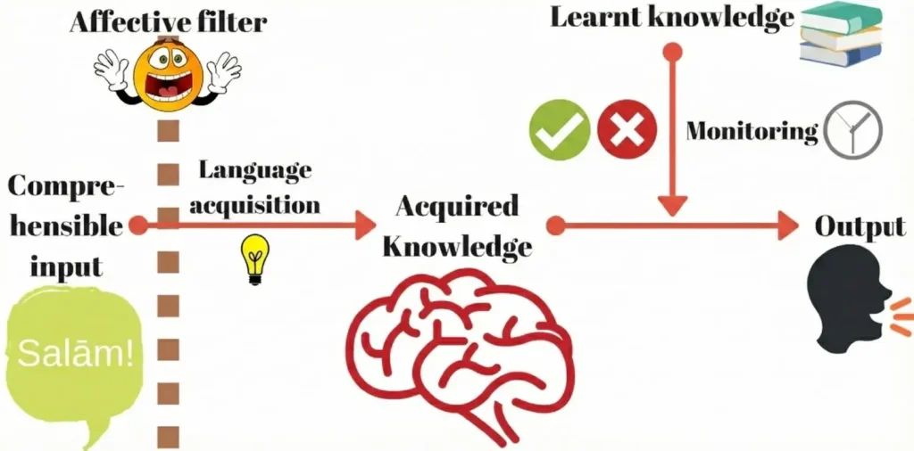 A simplified graphic of how language acquisition works