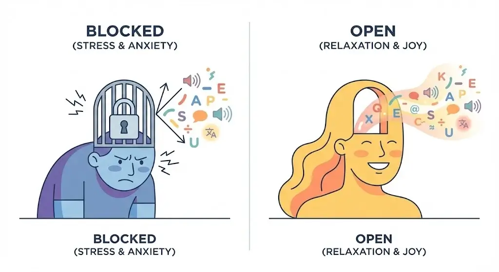Affective Filter Hypothesis - Emotions as gatekeepers of the mind